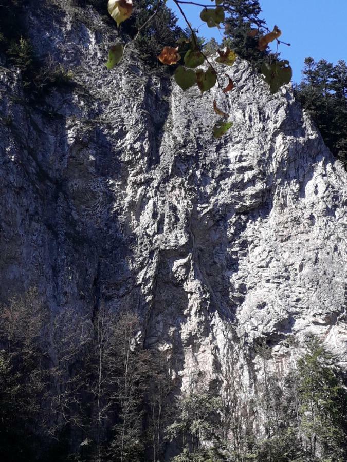 Chata Holica Pieniny Lesnica Екстер'єр фото