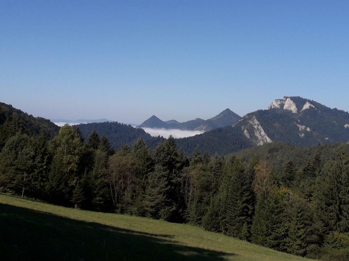 Chata Holica Pieniny Lesnica Екстер'єр фото