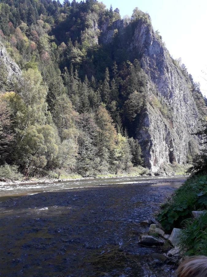 Chata Holica Pieniny Lesnica Екстер'єр фото